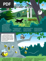 O Texugo e o pássaro Indicador do Mel