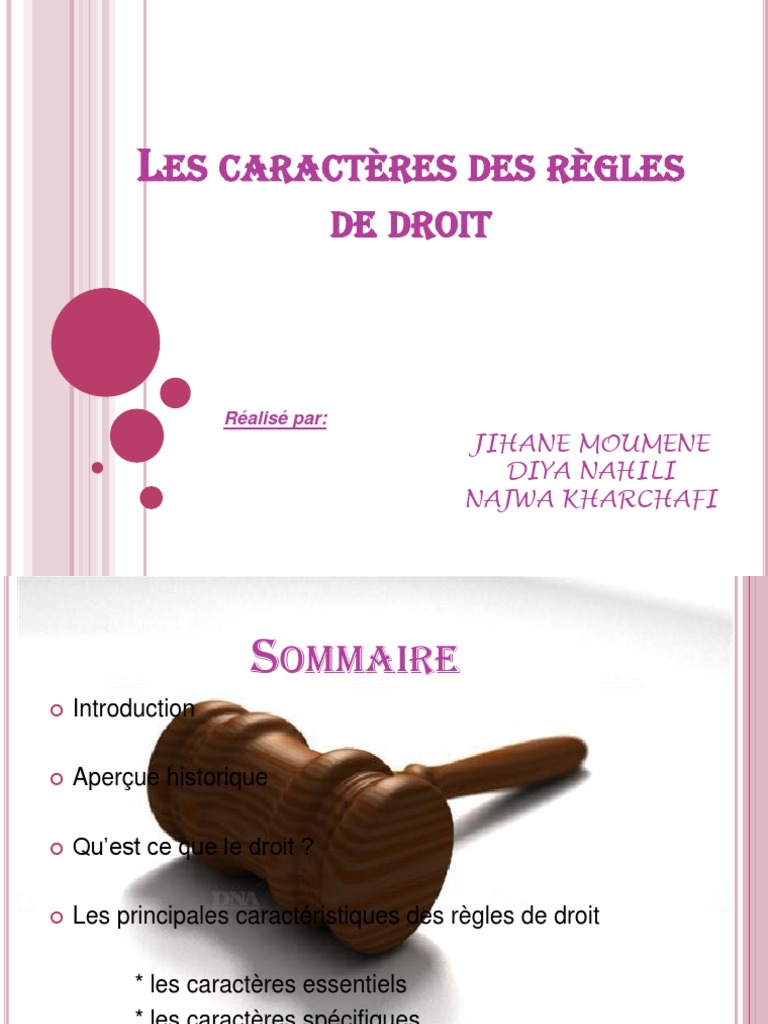 Caractéristiques des règles de droit | PDF | Justice | Crime et violence