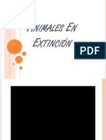 Animales en Extinción