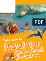 Bird Guide Maldiva