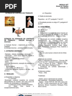 134 082312 Modulo Aft Dir Trabalho Aula 06