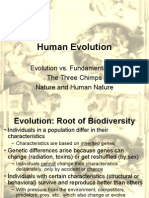 Human Evolution - New