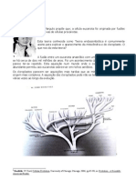 Teoria Endossimbiotica - Margulis