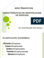 Expo Del Genero Dinophysis (ERMEL)