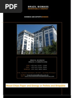 Download Company Brazil Biomass and Renewable Energy by mar4478 SN13504896 doc pdf