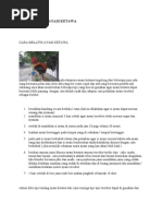 Download Cara Melatih Ayam Ketawa by Agus Styagung SN135051498 doc pdf