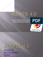 Audite1 PDF