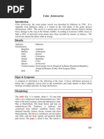 Download Cylas Formicarius by Sujiono SN135080349 doc pdf