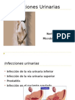 Infecciones Urinarias