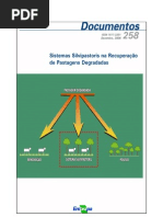 Sistemas silvipastoris na recuperação de áreas degradadas