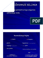 Microsoft Powerpoint - 9-Razmnozavanje Biljaka PDF