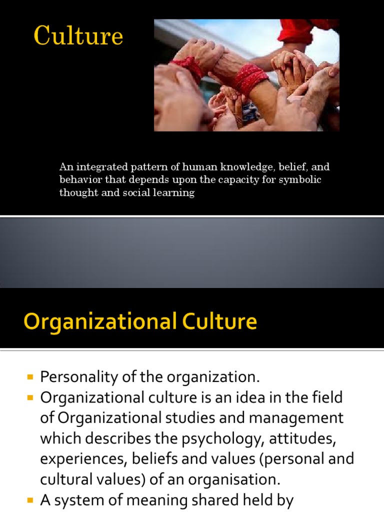 Understanding Organizational Culture Dynamics | PDF | Organizational ...