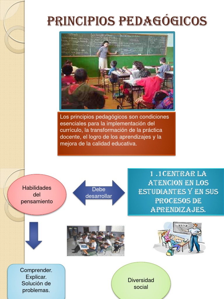 Principios Pedagogicos | PDF | Plan de estudios | Aprendizaje