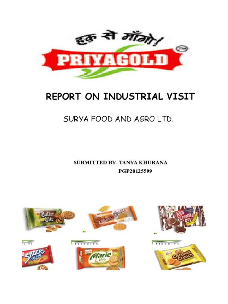 Industrial Visit Report Surya Foods Dough Packaging And Labeling