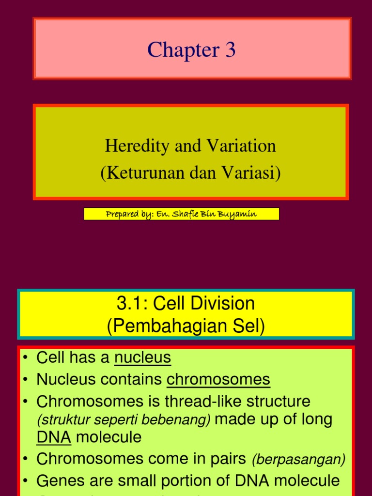 Cell Division and Inheritance Concepts | PDF | Chromosome | Mitosis