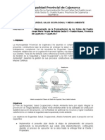 Plan Salud Ocupacional