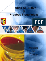 5203044 Medios de Cultivo y Pruebas Bioquimicas 100511162419 Phpapp02