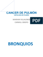 Histología pulmonar cancer