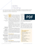 PrinciplesWoundHealing WCCSpring2011 PDF