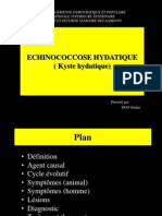 Echinococcose Hydatique