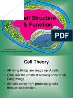cellstructurefunction1-101211104112-phpapp01