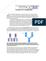 DNA Replication