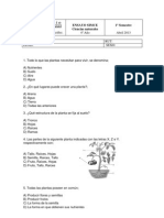 Ensayo Ciencias 1