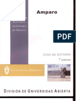Amparo (Guía de Estudios)