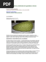 Download Noni y Guanabana by Cancio Florez SN135259787 doc pdf