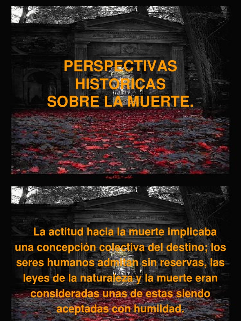 Perspectivas Históricas de la Muerte | PDF | Muerte | Dolor