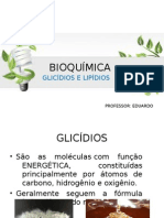 Bioquímica - Glicídios e Lipídios