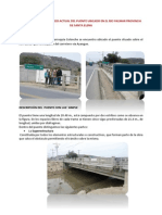 Informe Puente Palmar