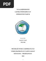 Download Laporan Pendahuluan Dan Askep INFEKSI POST PARTUM by Syamsiah Anwar SN135289665 doc pdf