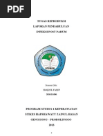Laporan Pendahuluan Dan Askep INFEKSI POST PARTUM