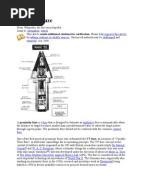 Introduction To Fuze Fuze