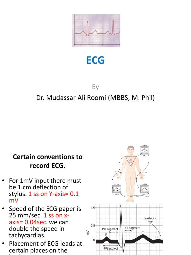 ECG Lecture 1 by Dr. Roomi | PDF | Electrocardiography | Atrium (Heart)