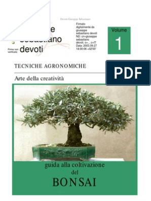 manuale semina gratis semi selezionati 10 semi Phyllostachys Aurea Bamboo raro