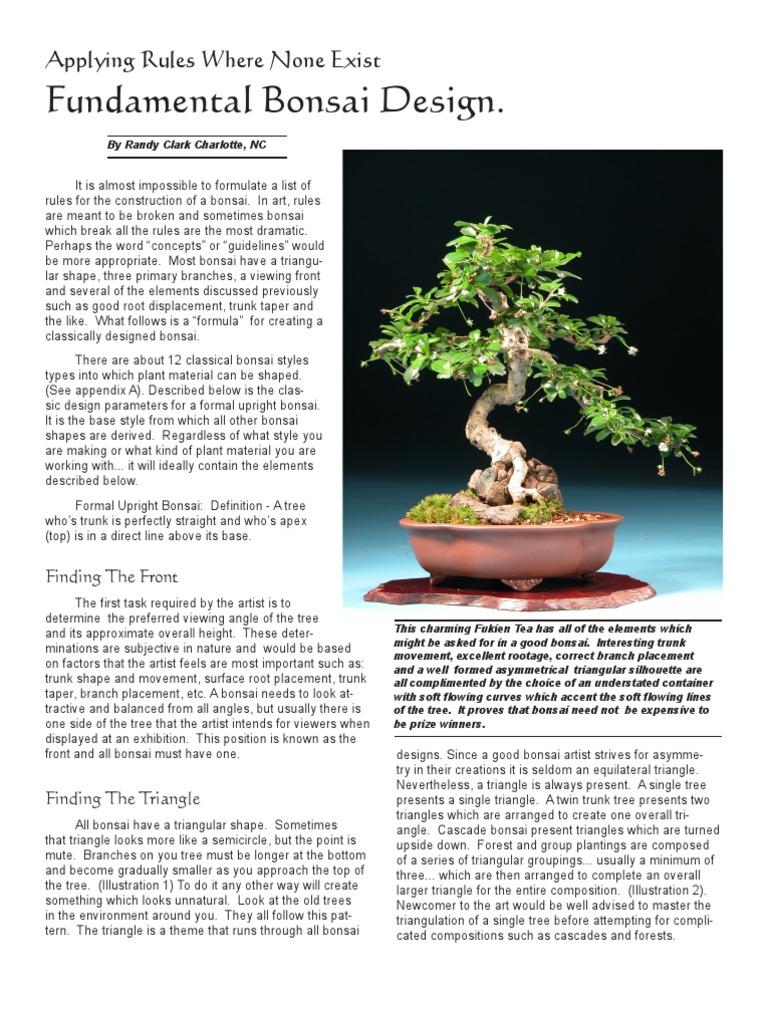 Rules of Bonsai PDF Bonsai Trees