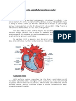 44743883 Anatomia Aparatului Cardiovascular