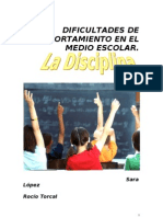 Trabajo de La Disciplina