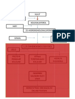 Metabolisme Vit d Ginjal