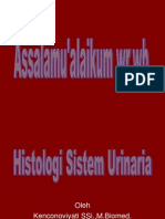 Histologi Sistem Urin Baru