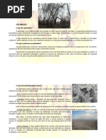 Cartilha de Ecologia Queimadas FINAL