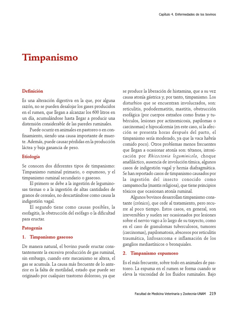 Timpanismo PDF Rumiante Vacas