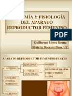 Anatoma y Fisiologa Del Aparato Reproductor Femenino 1193079935919884 5