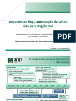 Impactos da Regulamentação da Lei do Gás para a Região Sul