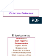 10. Enterobacteriaceae