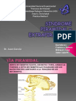Piramidal y Extrapiramidal