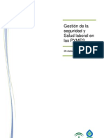 Manual Gestion PRL - PYMES