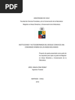INSTITUCIONES Y AUTOGOBERNANZA DEL BOSQUE COMUN DE UNA COMUNIDAD AYMARA EN LOS ANDES BOLIVIANOS